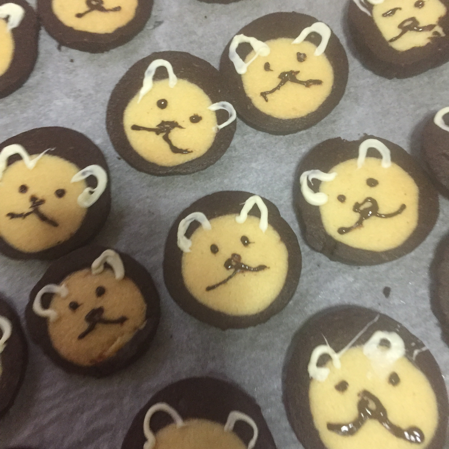 萌哭了的可可狮子饼干