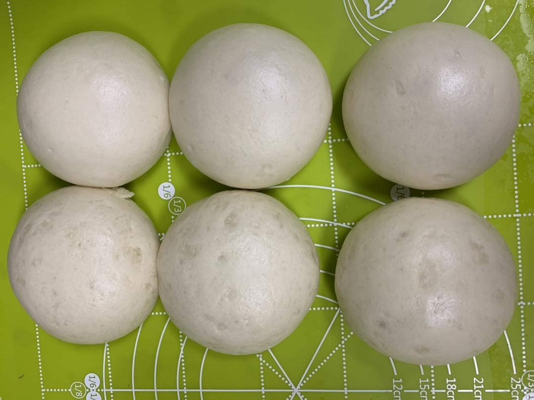 波兰种圆馒头