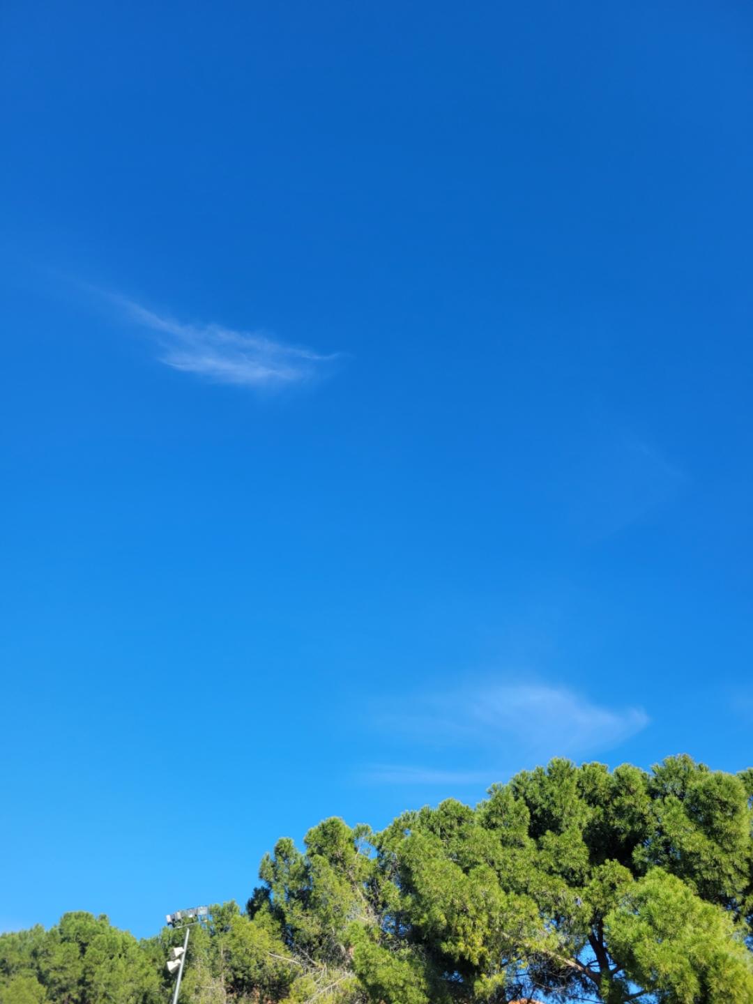 爱生活的恩