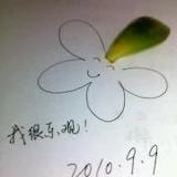 nono没时间