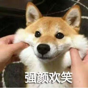 梅梅爱做饭