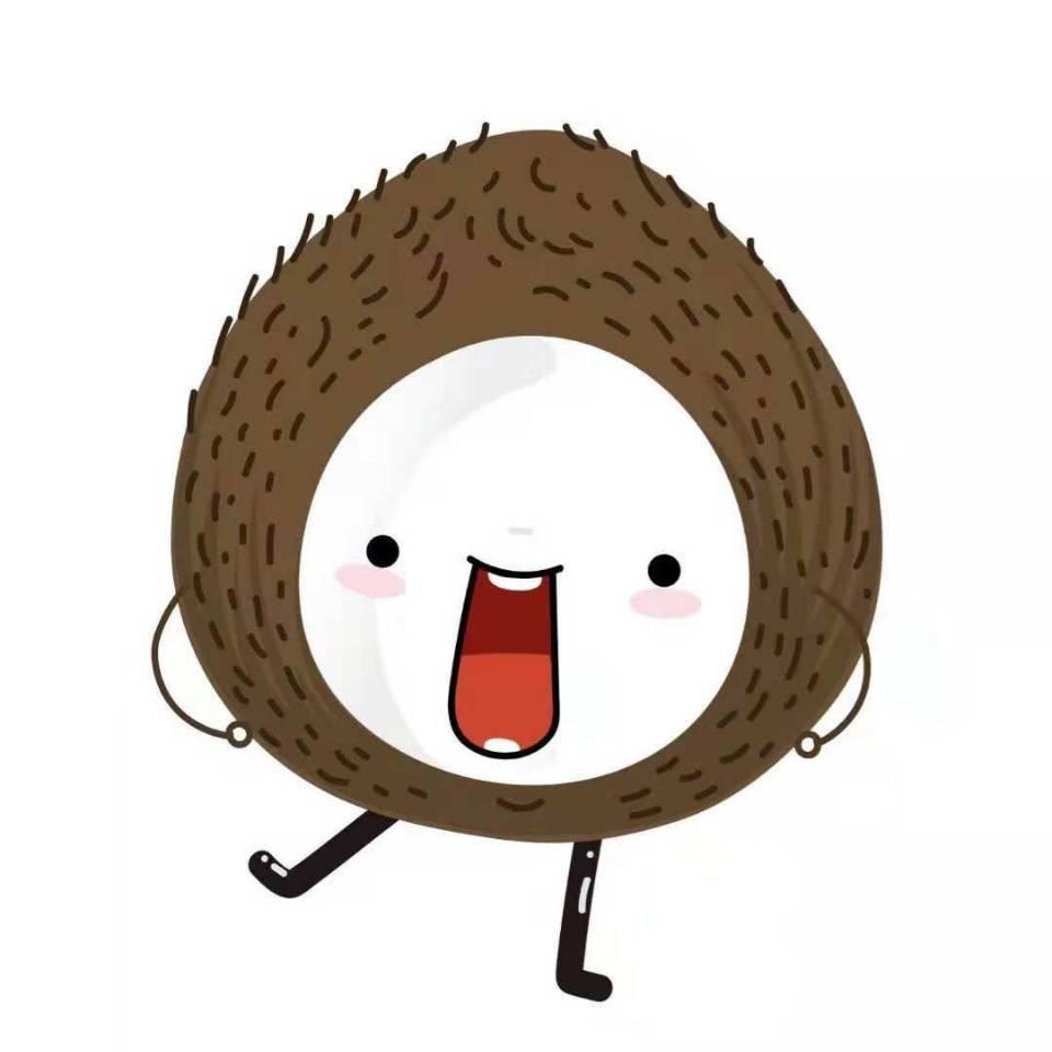 BOONBOON椰子食谱