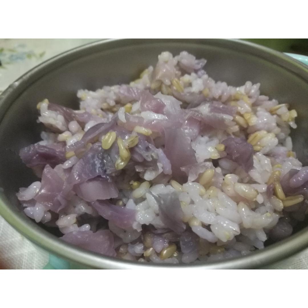 紫甘蓝焖饭
