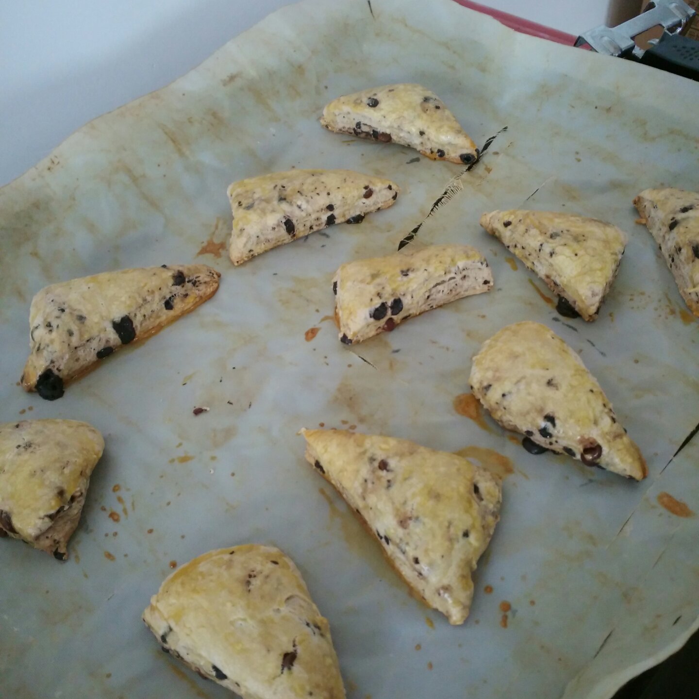 巧克力司康（君之配方）