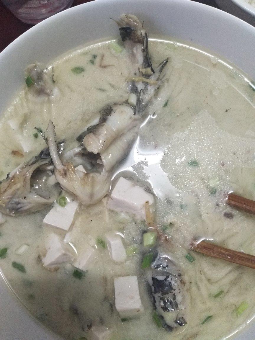 黄骨鱼豆腐煲