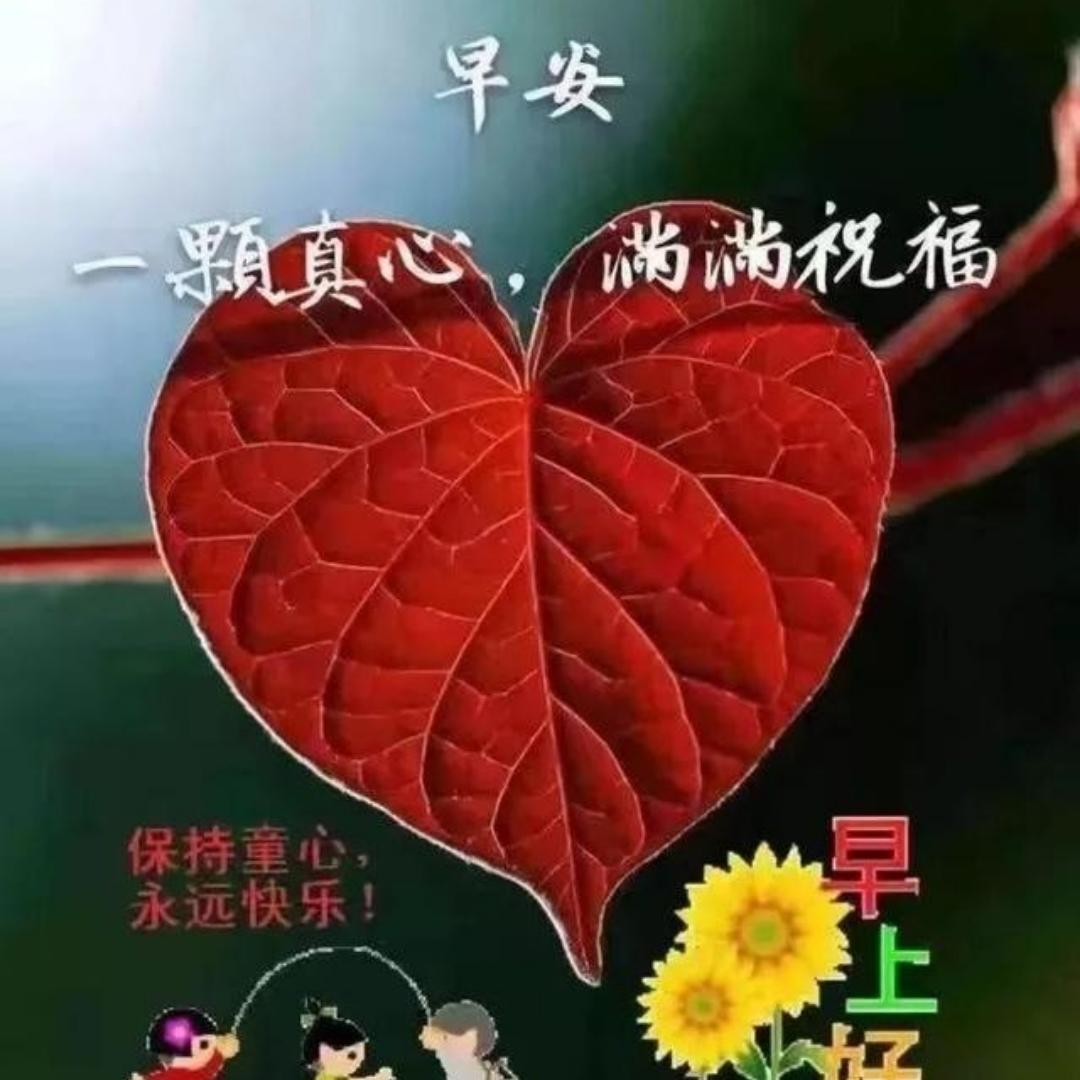 倞缘