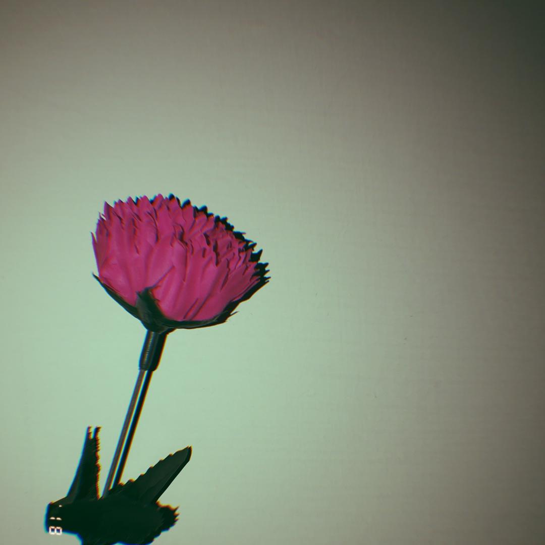 Emily_Syuan