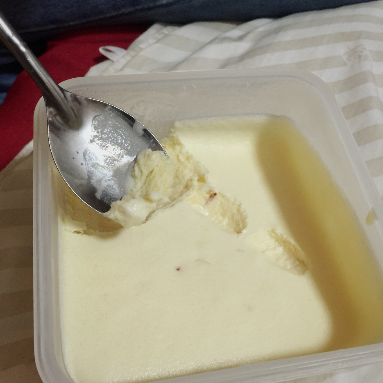 自制哈根达斯风味的冰淇淋