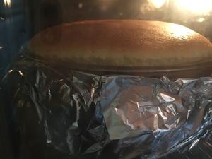 金枕榴莲轻乳酪蛋糕的做法 步骤15