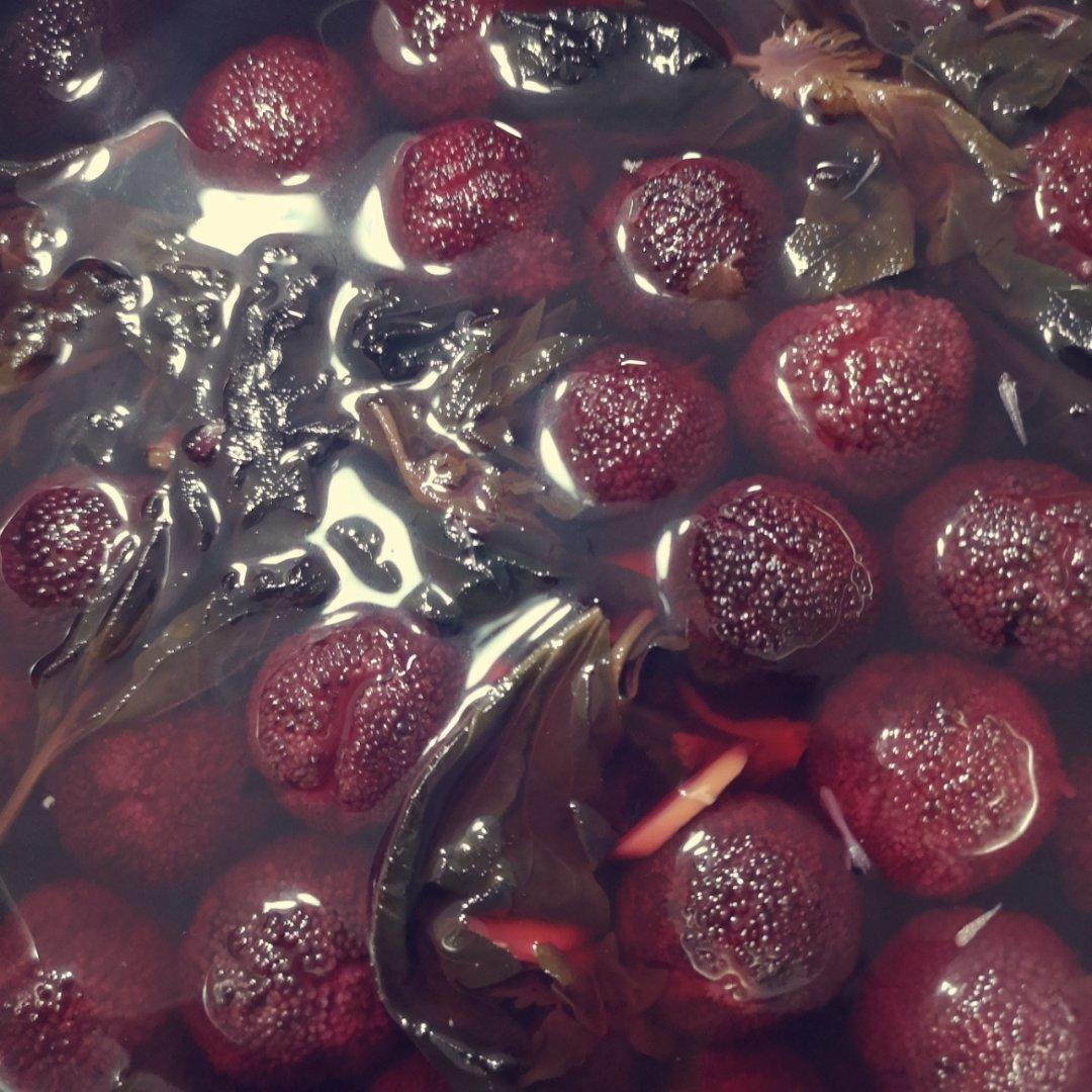 紫苏冰糖杨梅汤