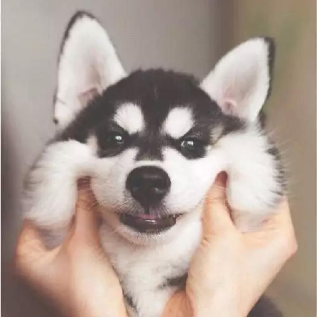 哎哟咿呀喔