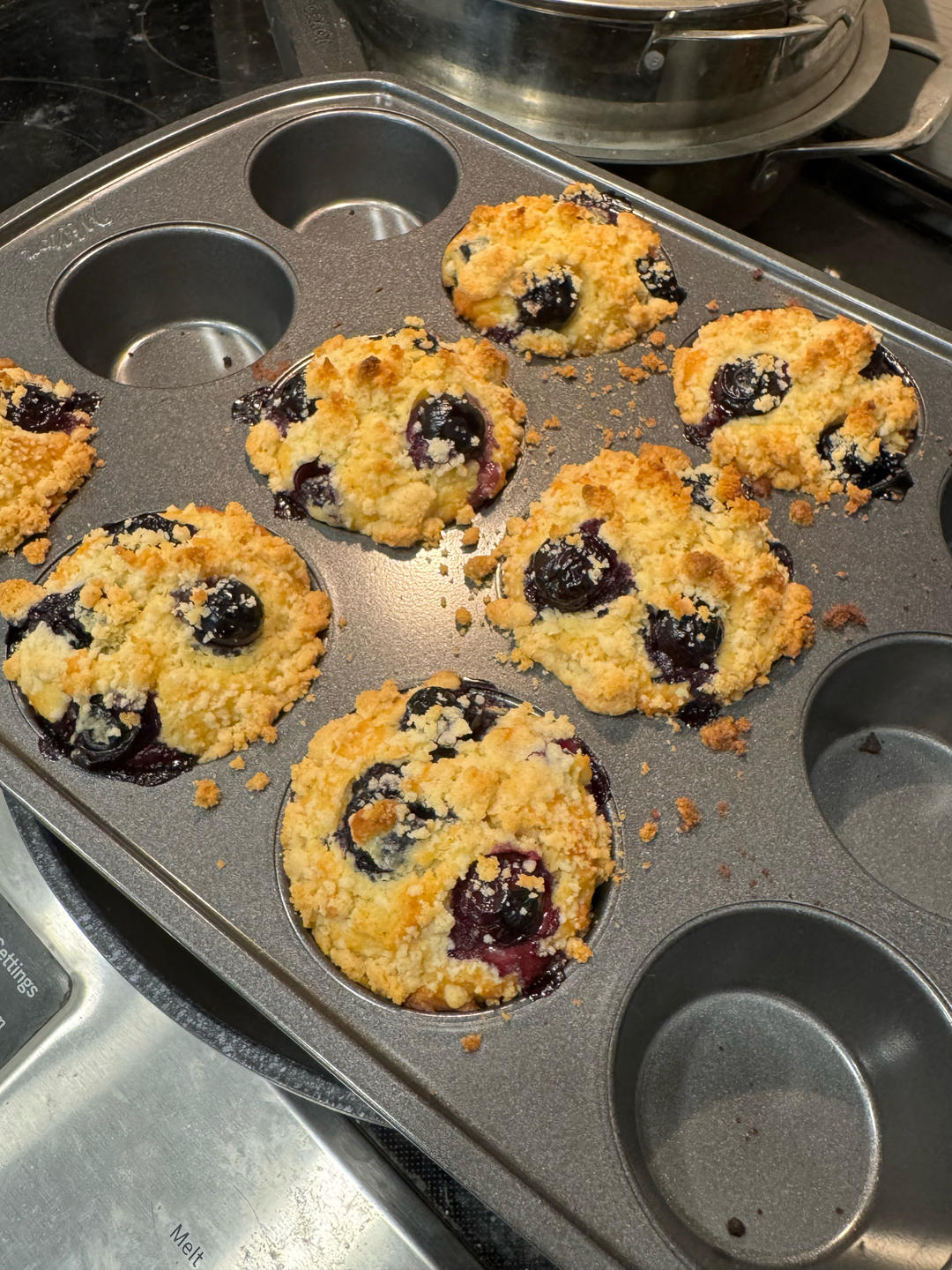 PH大师的金宝顶蓝莓马芬