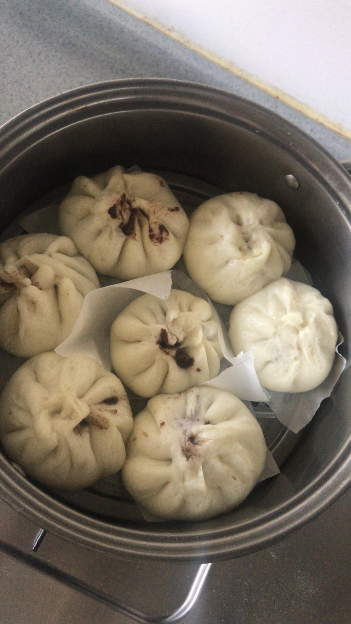 一次发酵肉包子