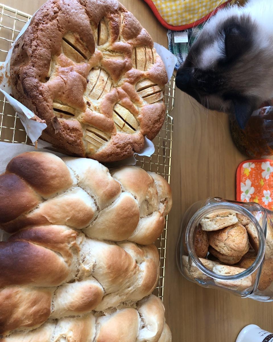 酸奶辫子面包（一次发酵）