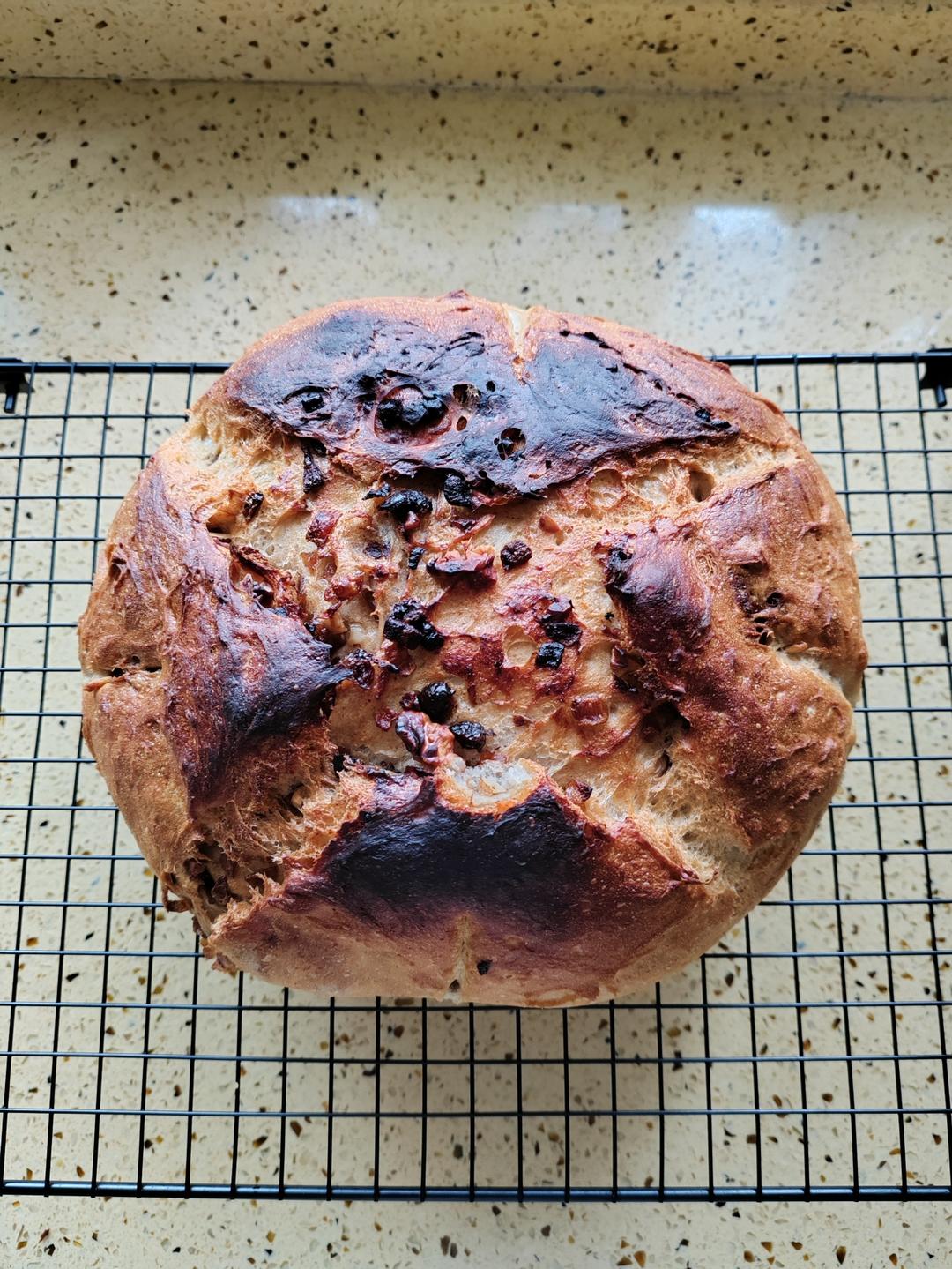 德国婆婆秘方·只多一料·香得上天的全麦核桃蔓越欧包