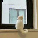 Mia_bu8w
