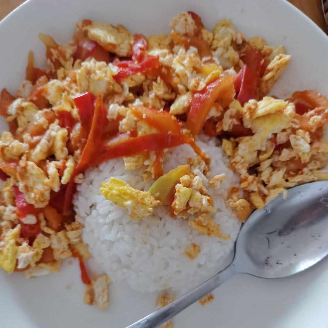 酸酸甜甜开胃饭，番茄炒蛋盖浇饭
