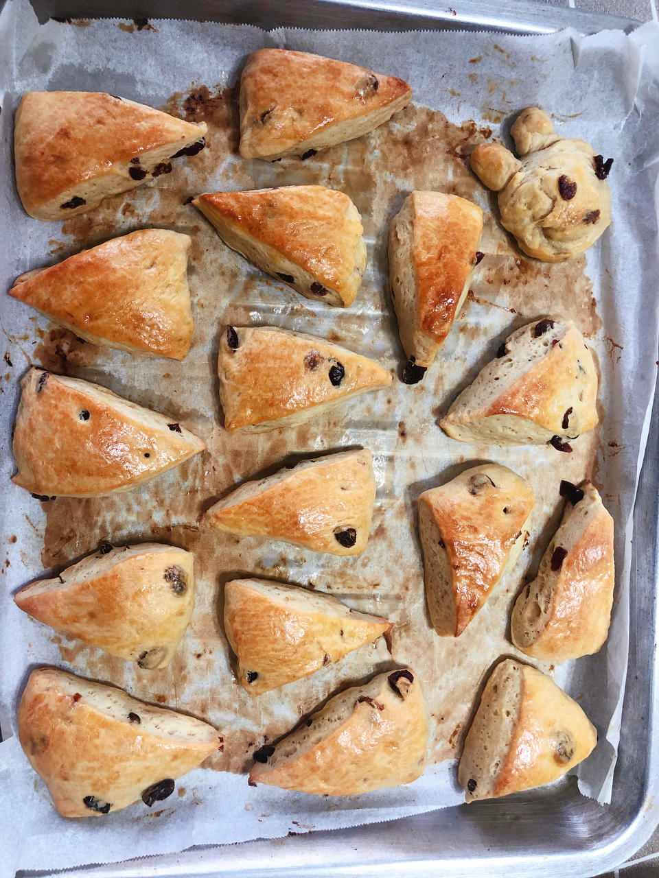 葡萄干司康（酵母版）