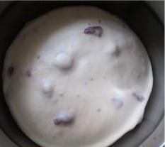 蔓越莓酸奶面包卷的做法 步骤8