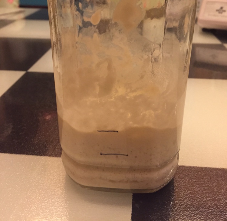 天然酵种养成记