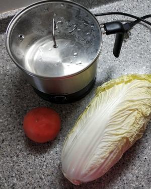 西红柿素汤面（纯素电煮锅版）的做法 步骤1