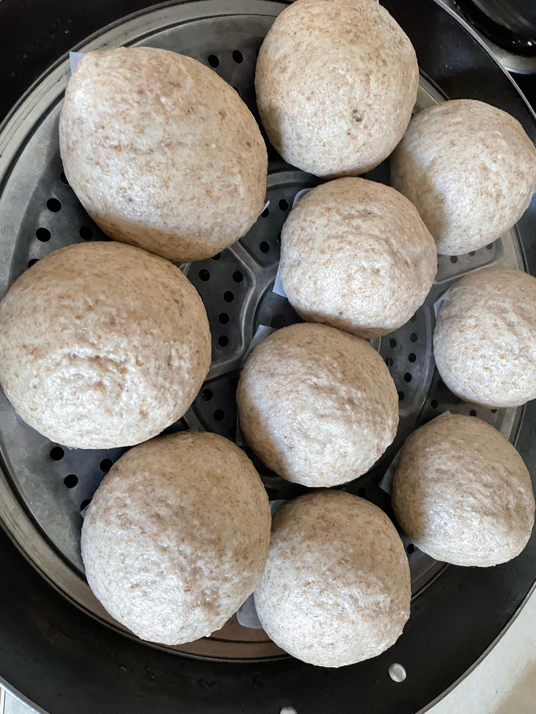 荞麦+全麦面粉馒头