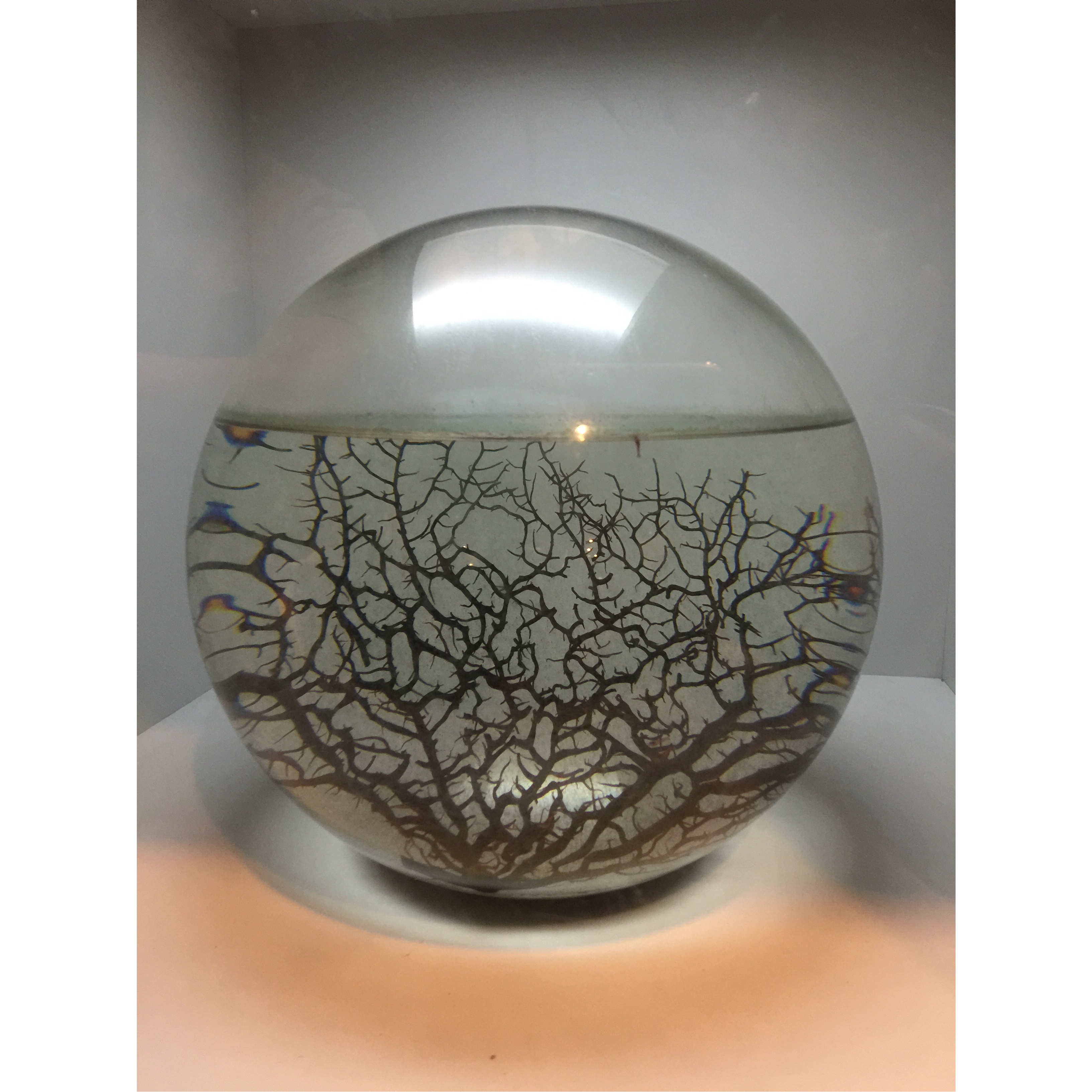 手机用户9530_9yme