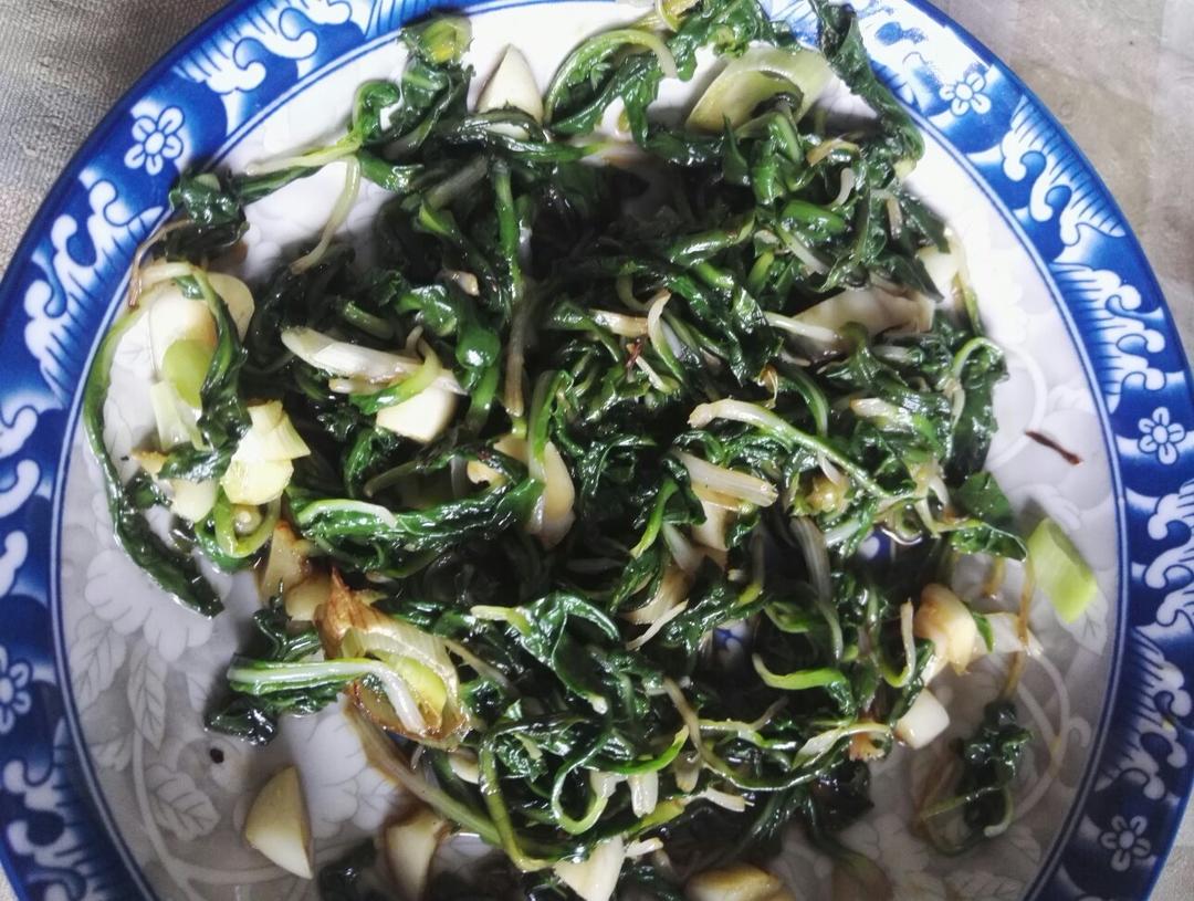 凉拌蒲公英