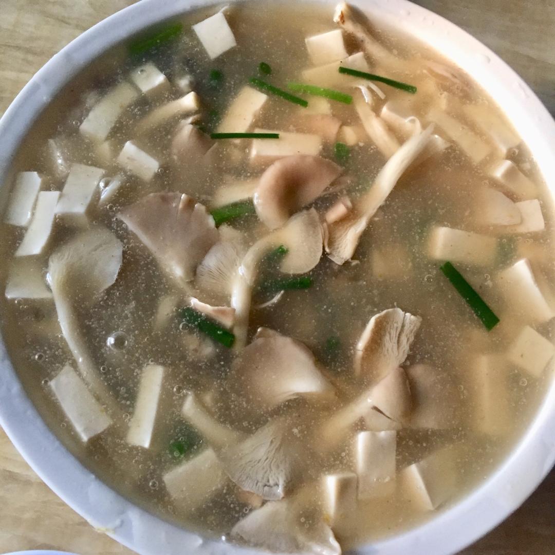 牡蛎菌菇豆腐汤