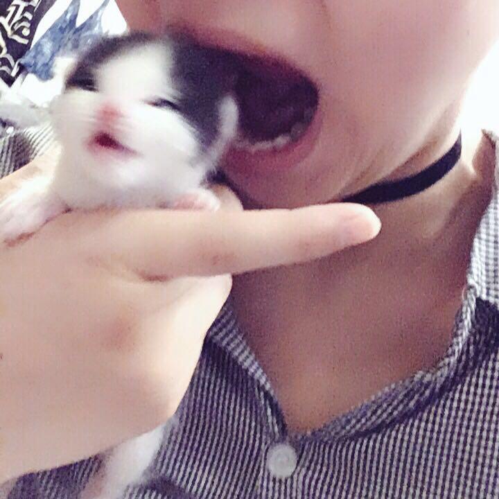 手机用户2785_9f5x