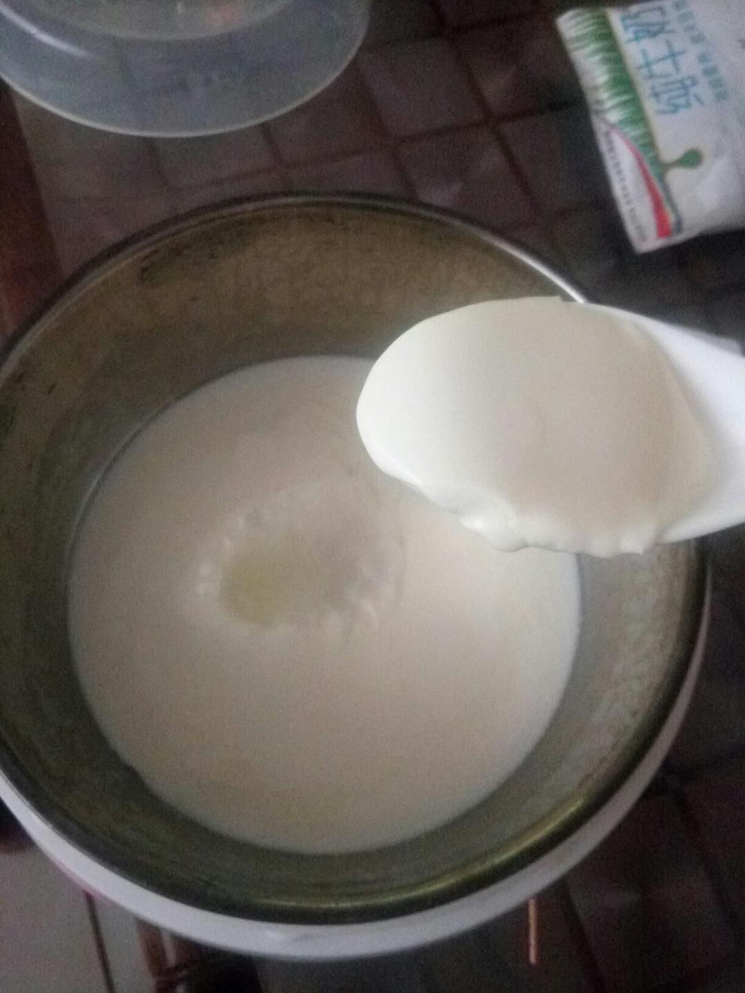 自制酸奶（奶粉版）