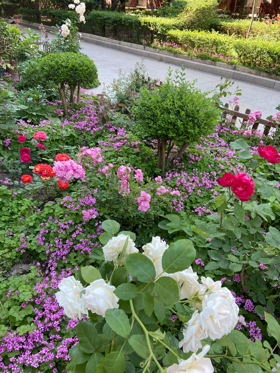 樱桃苹果香蕉荔枝榴莲
