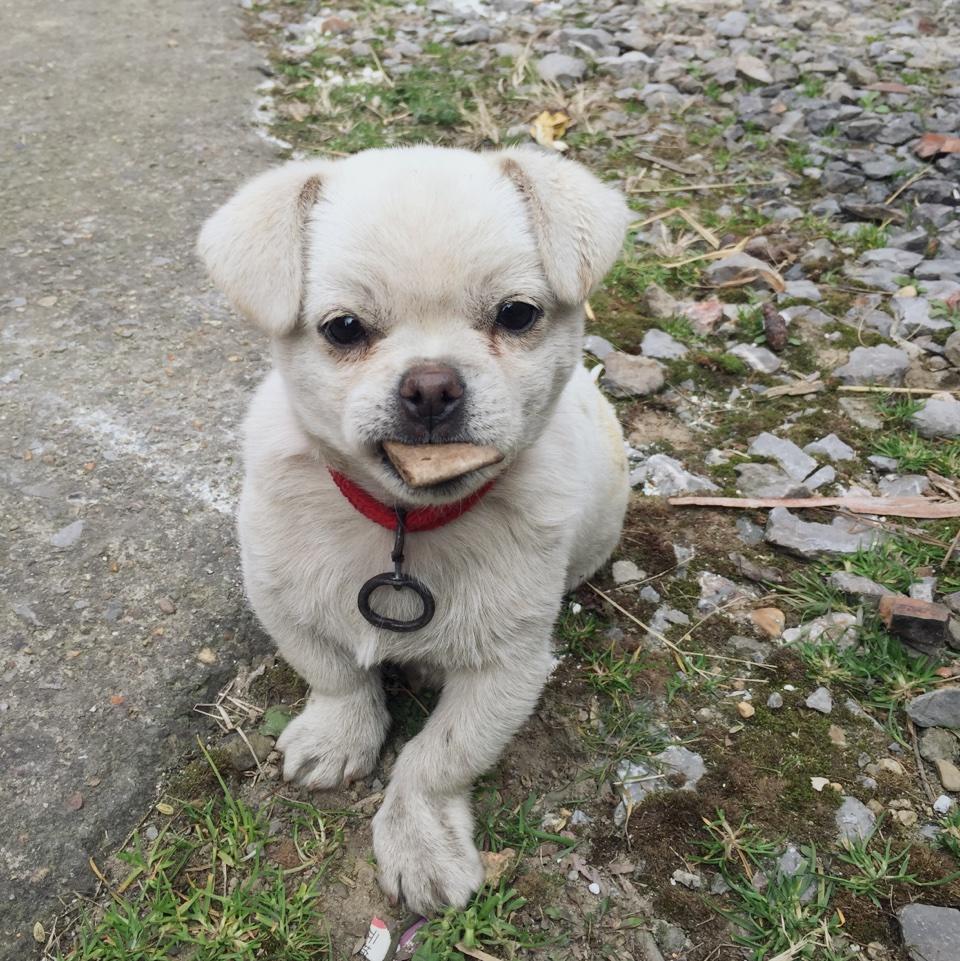 手机用户1585_uw0c