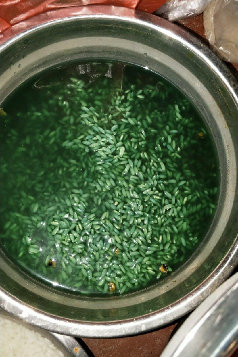壮族三月三~绿色糯米饭（密蒙花+蝶豆花）