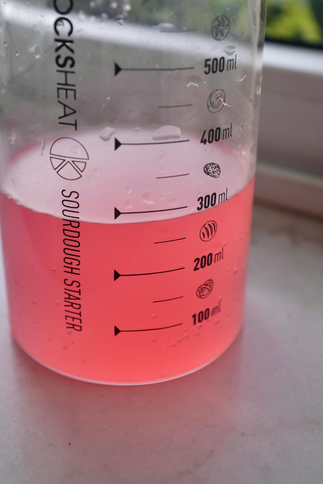 洋葱酵母液/洋葱酵种