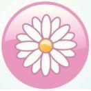 Daisy--SOSO