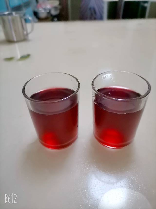 自制葡萄酒