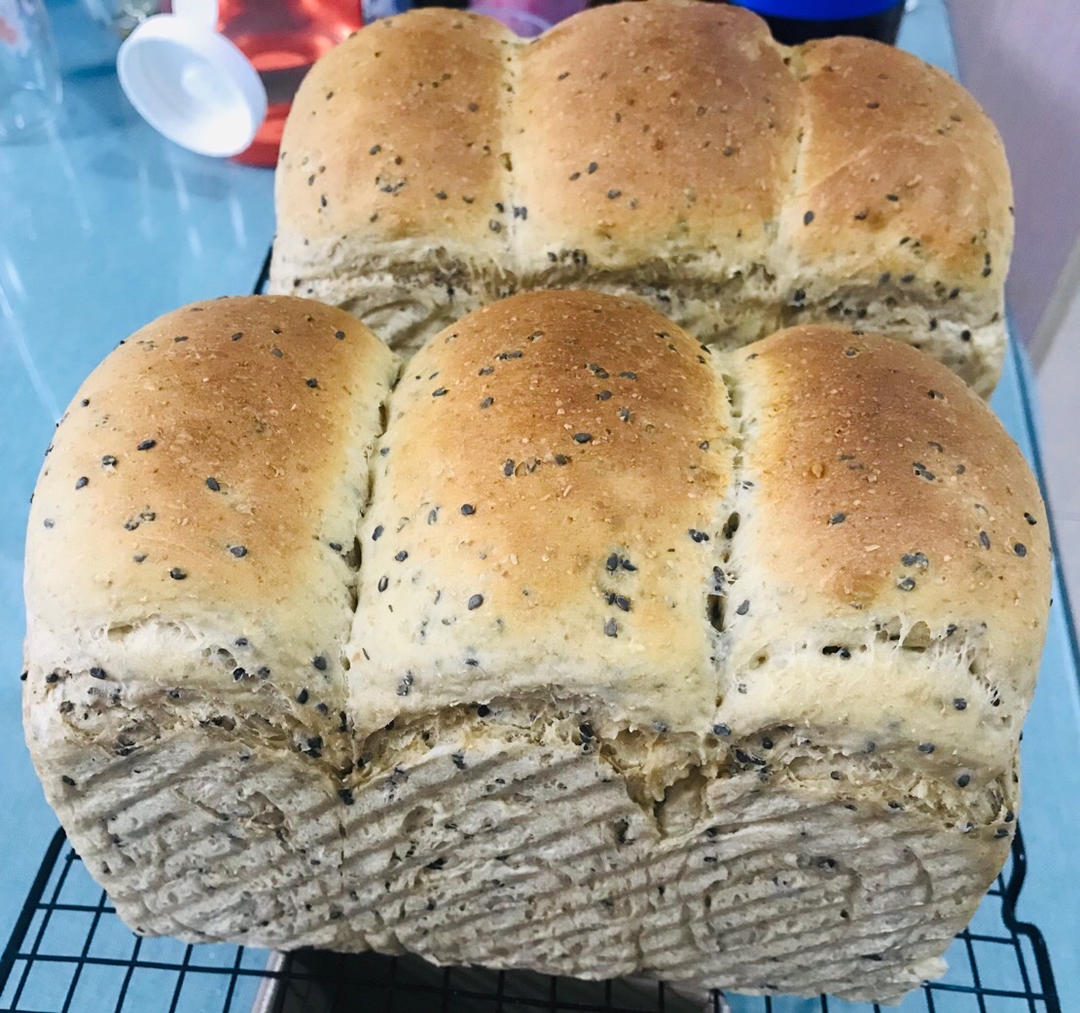 双种芝麻全麦吐司 100%全麦 烫种+波兰种