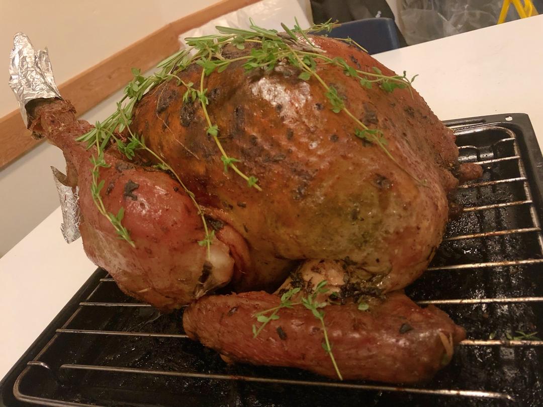 传统圣诞火鸡Christmas Turkey
