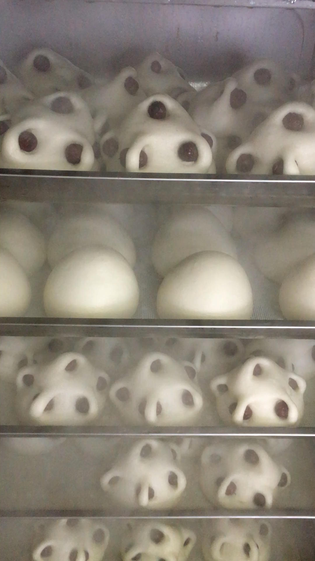 如何揉出光溜溜的白馒头（一次发酵）