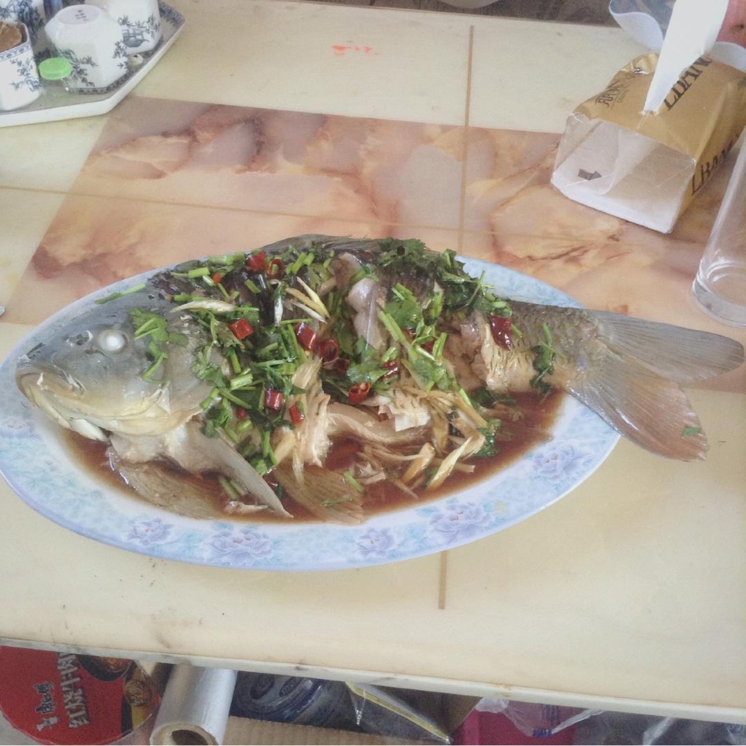 清蒸鲤鱼
