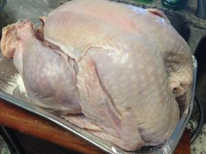 感恩节烤火鸡（火鸡要如何才能不难吃）的做法 步骤1