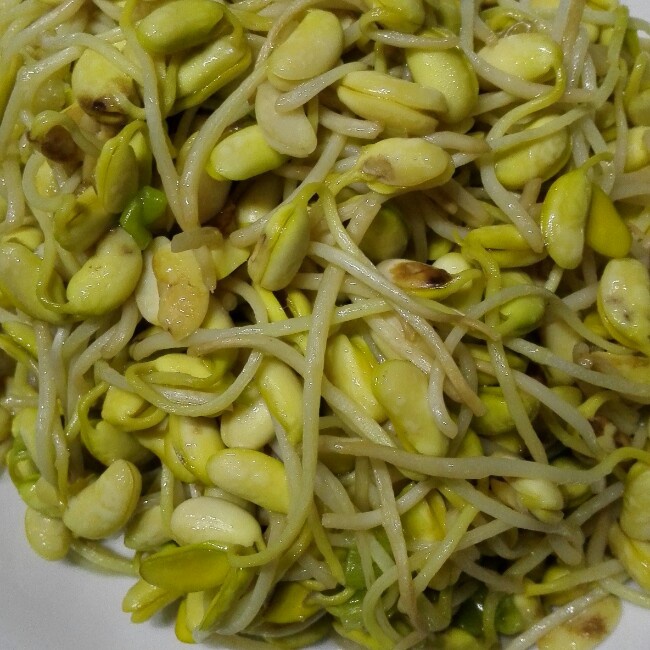 素炒黄豆芽