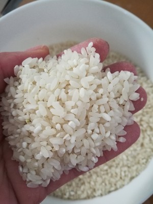 正宗簸箕炊的做法 最正宗的做法步骤图解 怎么做好吃 下厨房 正宗簸箕炊的做法 最正宗的做法步骤图解 怎么做好吃 下厨房