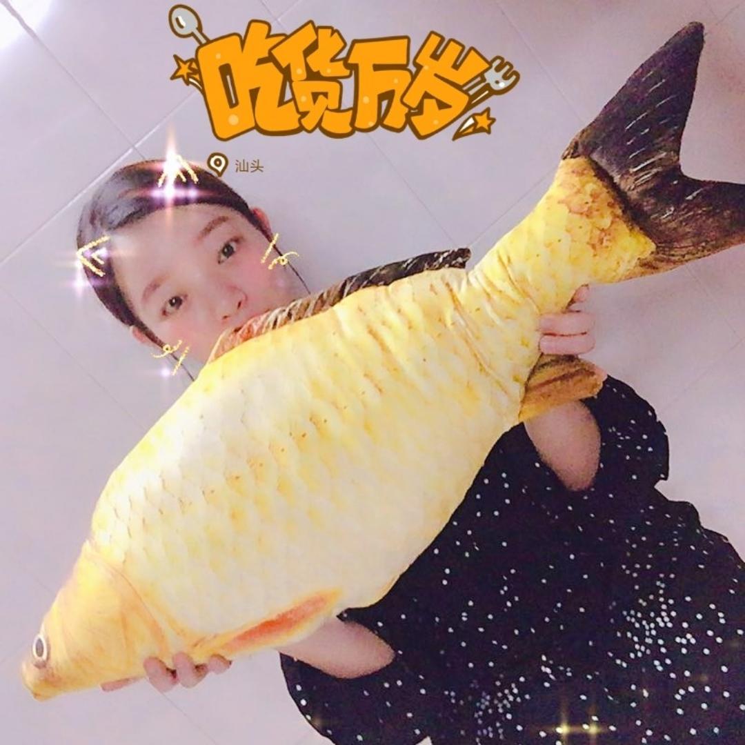 屋企有只猫