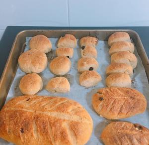 全麦面包一最简单的做法的做法 步骤4