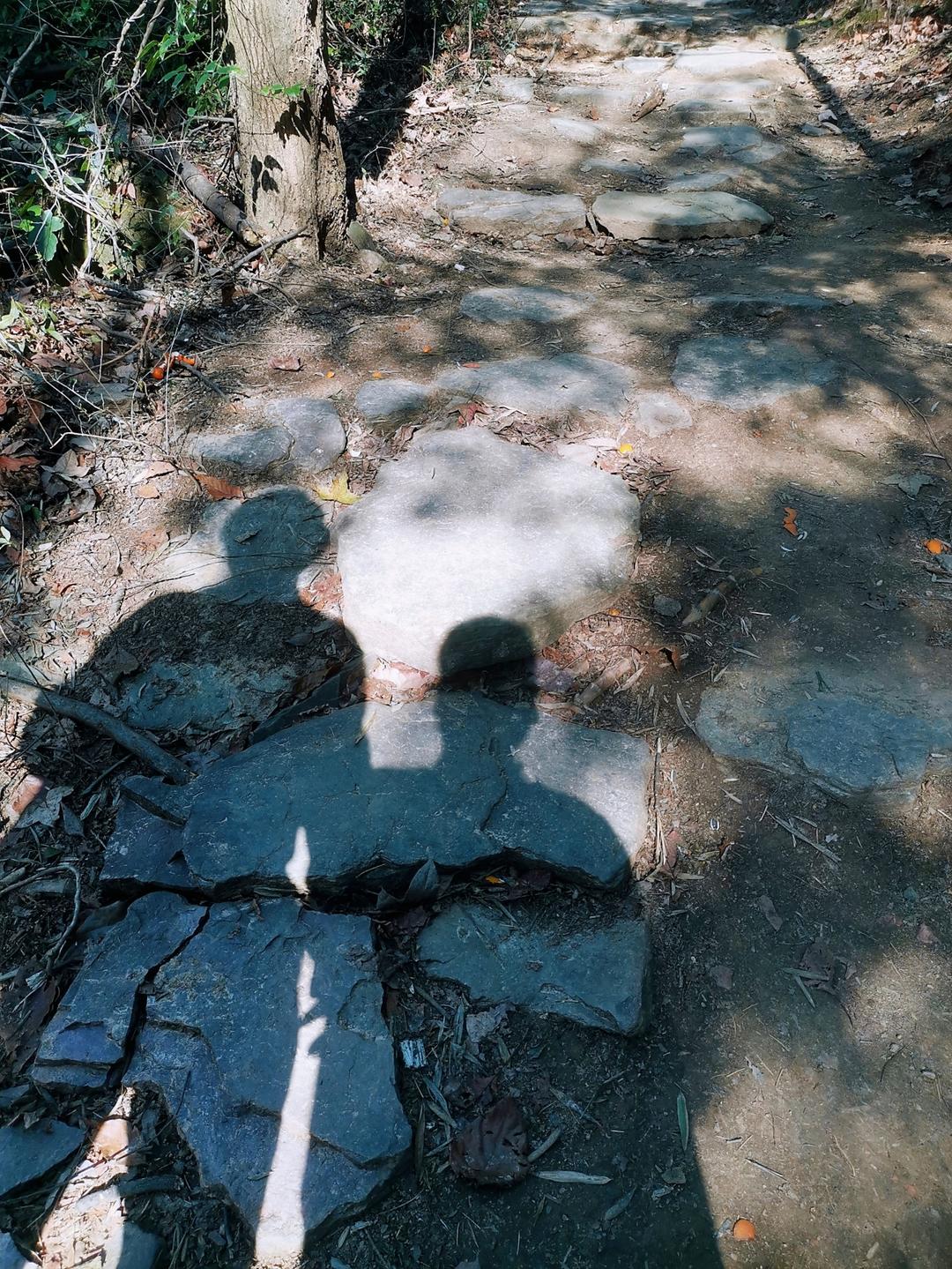 捕捉生活的温柔