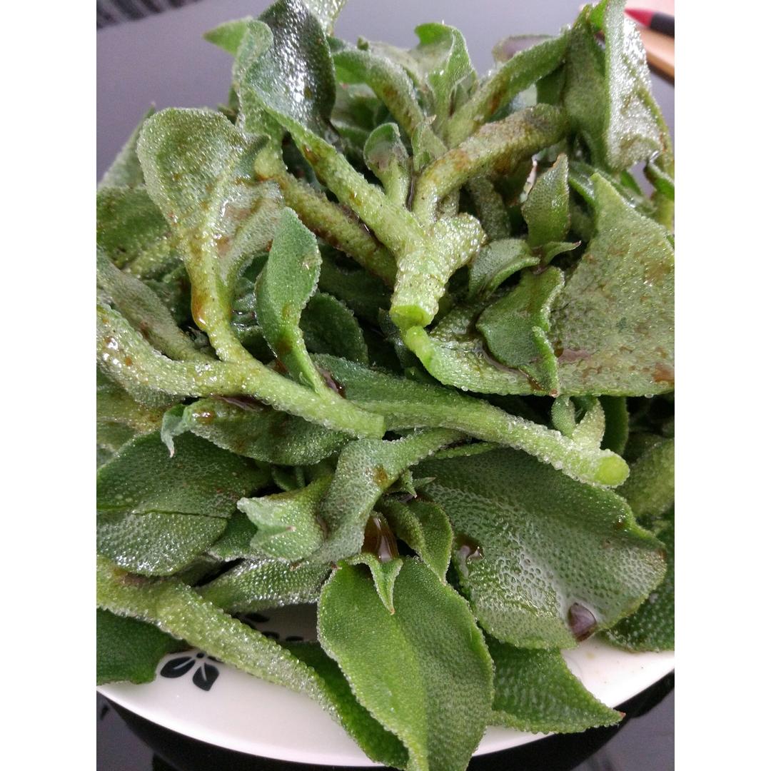 凉拌南非冰草