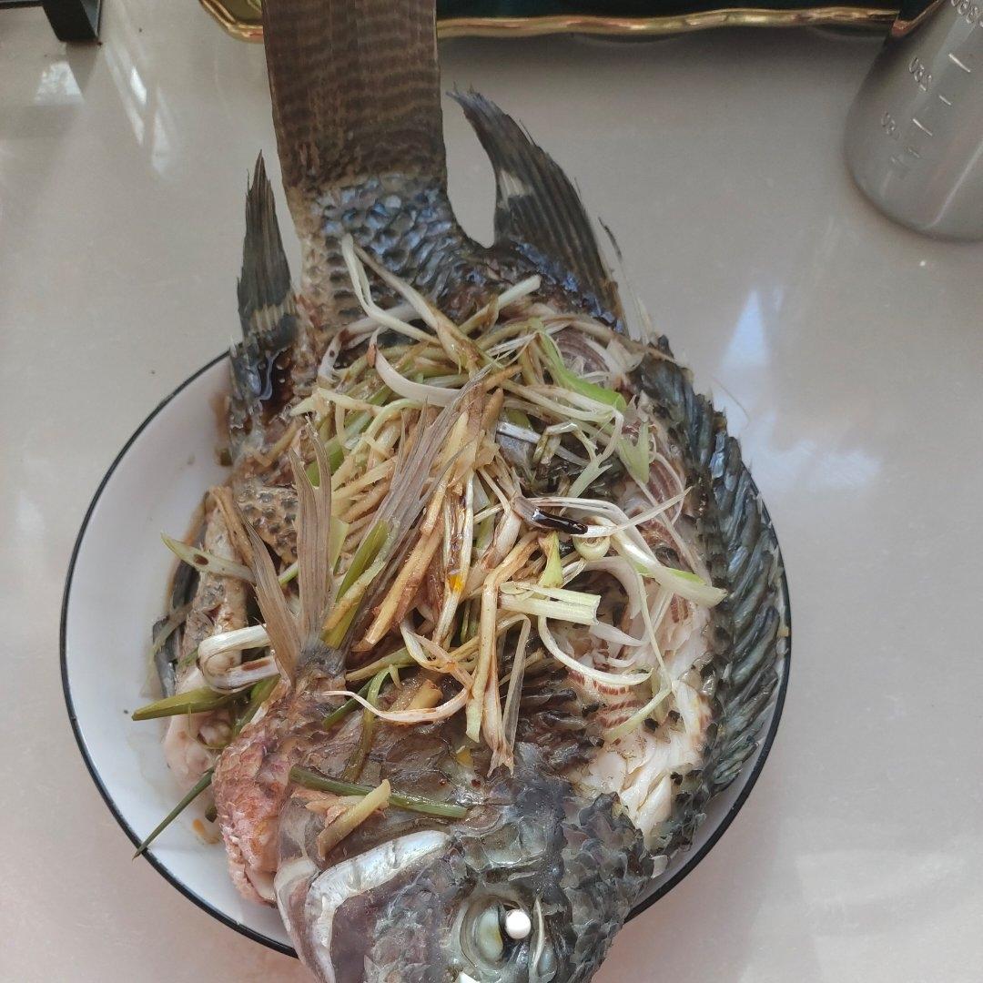 清蒸罗非鱼