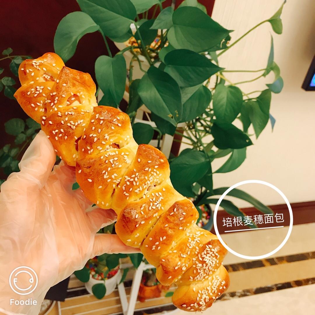 每晚跟我的烤箱来个约会